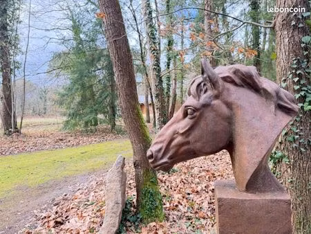 haras 12 pièces 303 m²