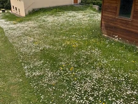 maison basse consommation à louer