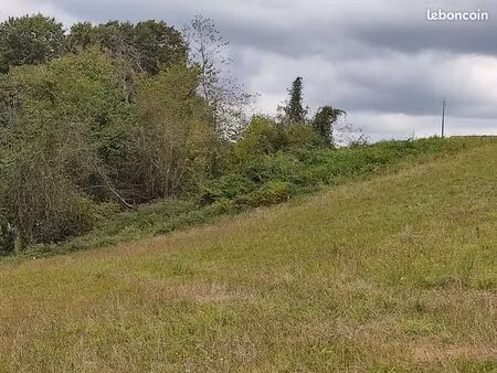terrain constructible avec prairie et bois