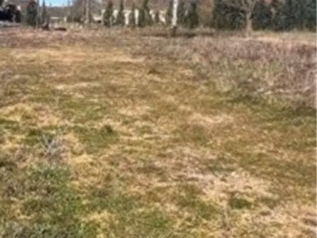 terrain constructible