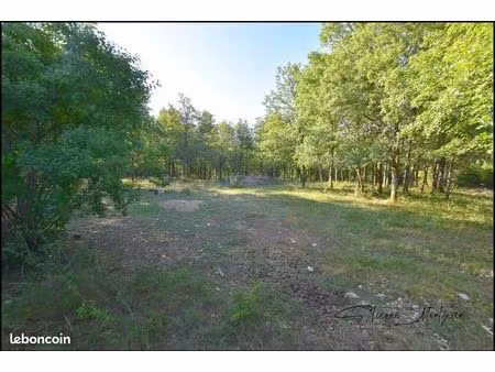 terrain 1000 m² thédirac