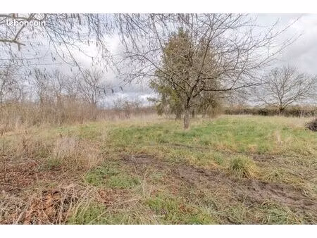 maison 5 pièces 138 m²