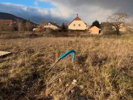 terrain 571 m² issenheim