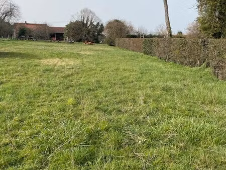 terrain constructible