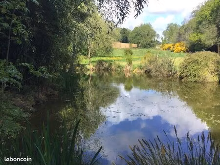 magnifique terrain de loisir 9000 m² avec étangs et ruisseau – près de rochefort-en-terre