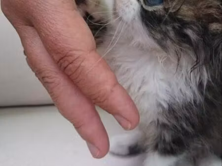 location à l'année