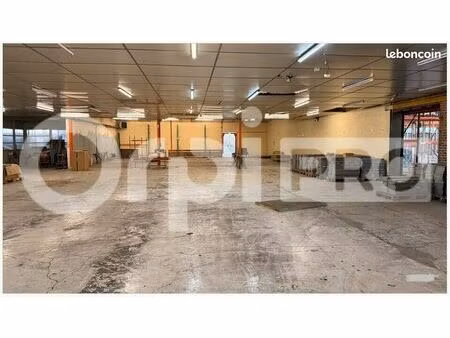 local d'activité 329 m²