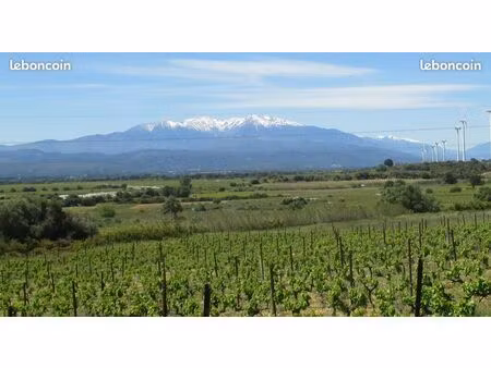 vignes  parcelles à vendre baho  baixas  calce - 66 pyrénées orientales