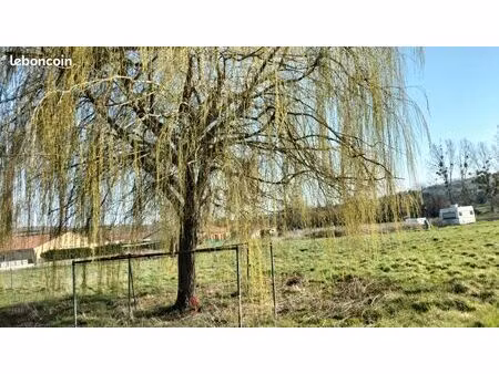 terrain constructible