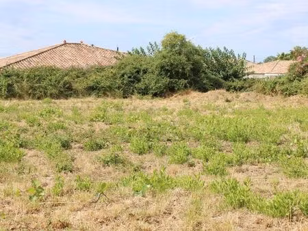 terrain 1119 m² villeneuve-lès-béziers
