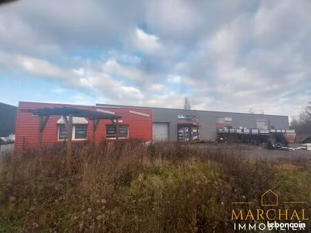 local 700 m² dieuze