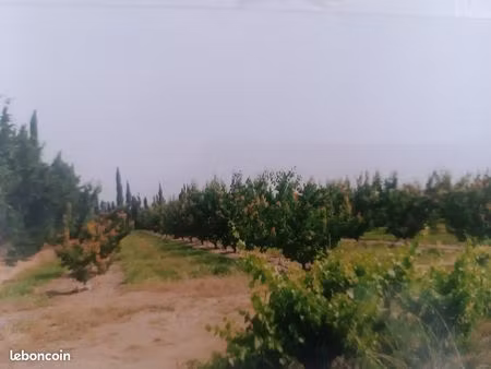 grand terrain agricole 3 7 hectares