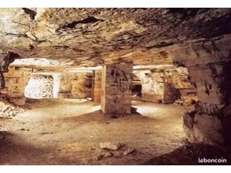 entrepôt stockage cave à vins de 7 000 m² avec grand parc de loisirs arboré de 14 883 m² à