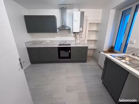 maison rénovée avec jardin en centre-ville