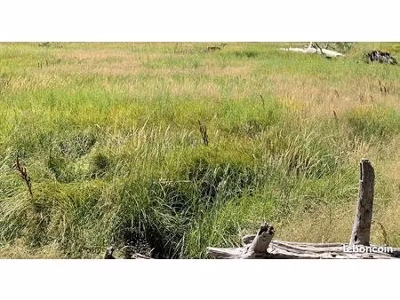 terrain 400 m² hourtin