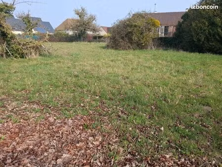 terrain constructible