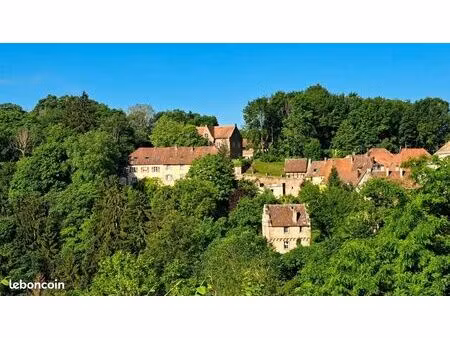 immeuble 290 m² la petite pierre