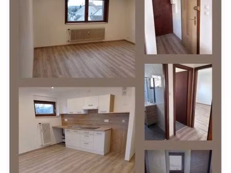 location 2 pièces sarrebourg