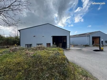 local 360 m² le faou