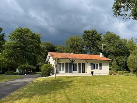 maison avec jardin arboré