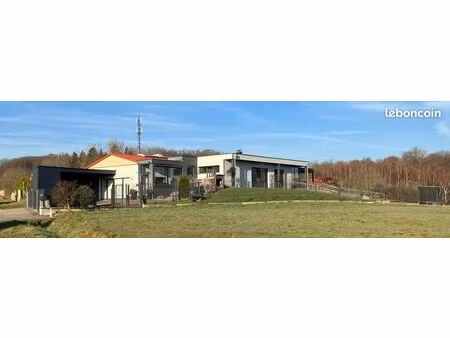 maison contemporaine 172m² – grand jardin – piscine - vue panoramique sur les vosges