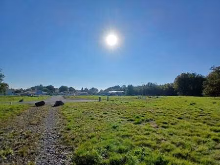 vente terrain 445 m² pont-saint-martin (44860)