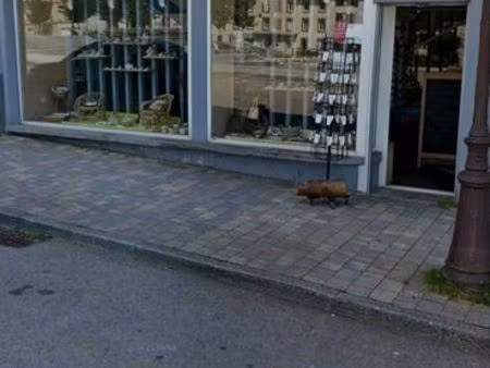 local commercial - centre ville