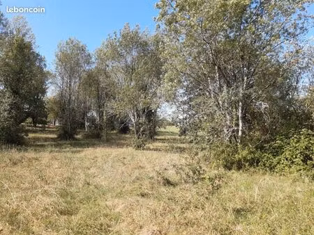 terrain 650 m² beautiran