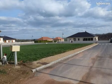 terrain constructible