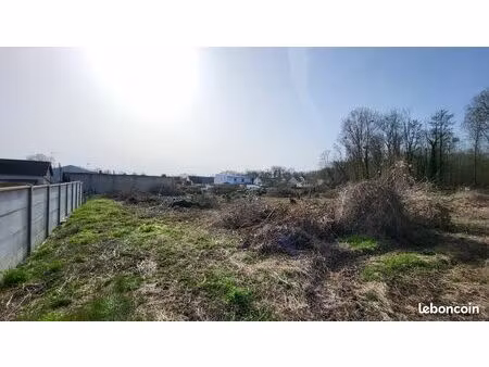 terrain constructible