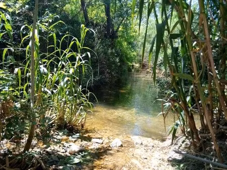 terrain agricole/loisir