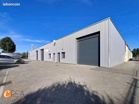 local 150 m² wittenheim