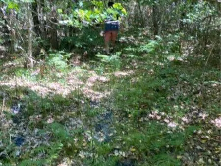 terrain constructible