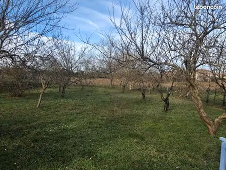 location verger / potager