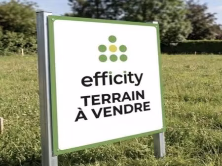 terrain 2 261 m² montreuil aux lions