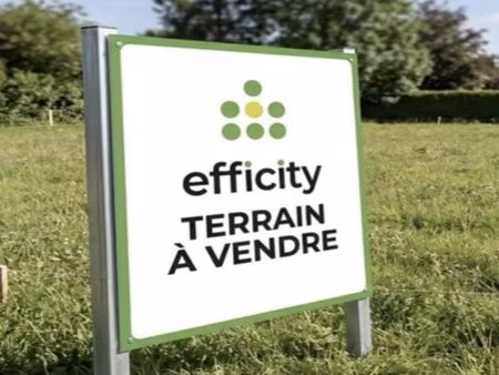 terrain 2 305 m² montreuil aux lions