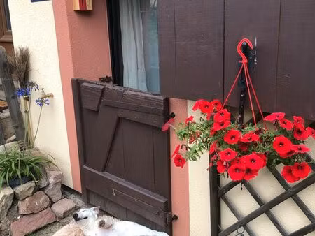 appartement gresswiller 50m2