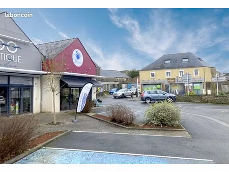 local commercial 86m² excellente visibilité