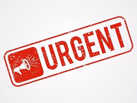 urgente recherche maison