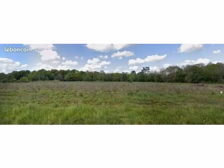 terrain 600 m² lignan de bordeaux