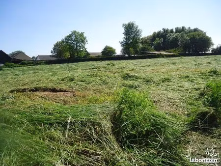 terrain 1415 m² westrehem