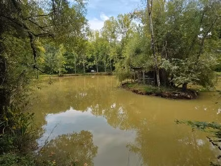 magnifique etang avec son bois