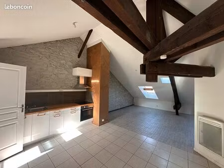 appartement 80 m² au sol 40 m² loi carrez