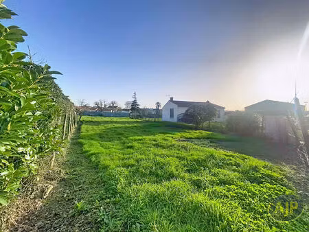 terrain à bâtir - triaize - 983 m²