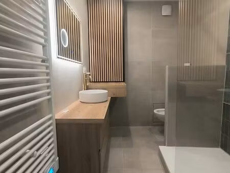 appartement t3 la talaudière molina