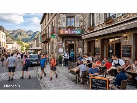 commerce hôtel  restaurant 3 000 m²