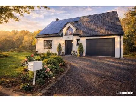 vends maison individuelle