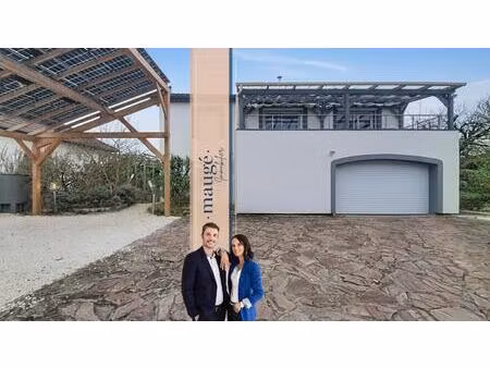 maison - 4 chambres - terrasse - jardin - garage - sous -sol aménagé en appartement - au c