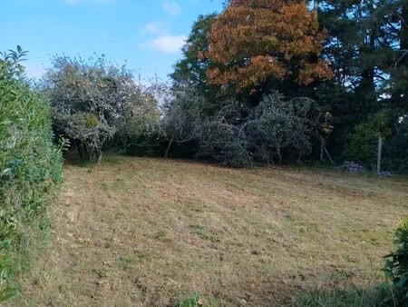 grand terrain bourg meriadec