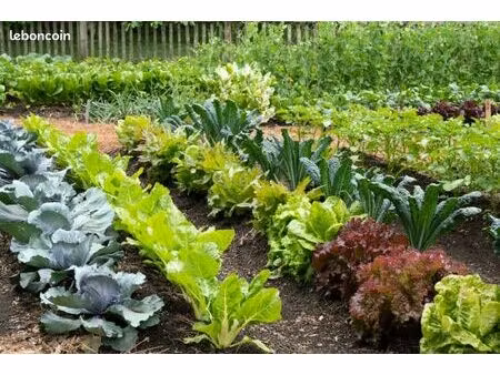 location jardin potager 400m2